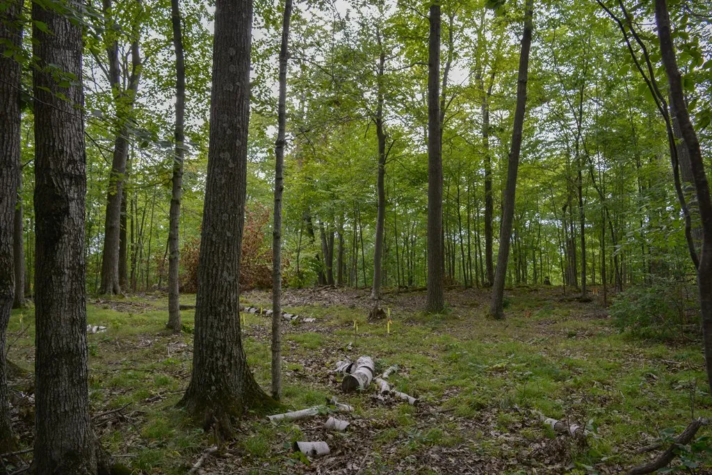 Lot 30 W Cortland Circle, Egg Harbor, Wisconsin 54209, ,Condominium,For Sale,W Cortland Circle,144481