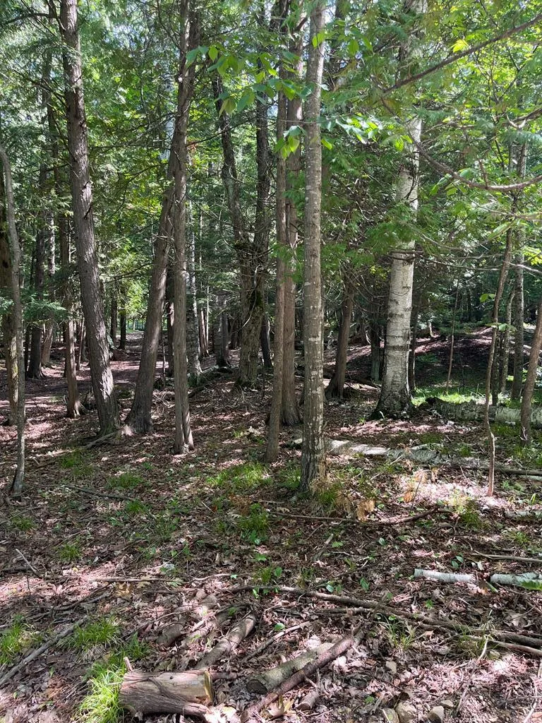 German Rd, Ephraim, Wisconsin 54211, ,Unimproved Land,For Sale,German Rd,144145