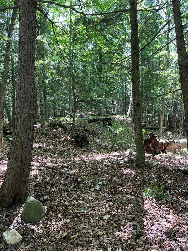 German Rd, Ephraim, Wisconsin 54211, ,Unimproved Land,For Sale,German Rd,144145