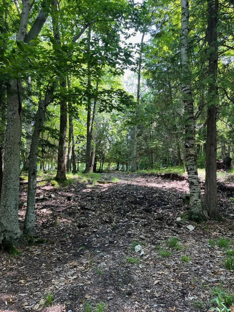 German Rd, Ephraim, Wisconsin 54211, ,Unimproved Land,For Sale,German Rd,144145