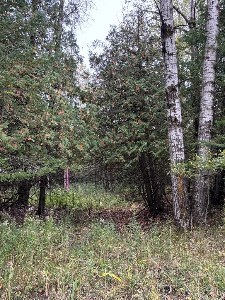 Lot 1 Sleepy Hollow Dr, Sturgeon Bay Wi 54235, ,Unimproved Land,For Sale,Sleepy Hollow Dr,141078