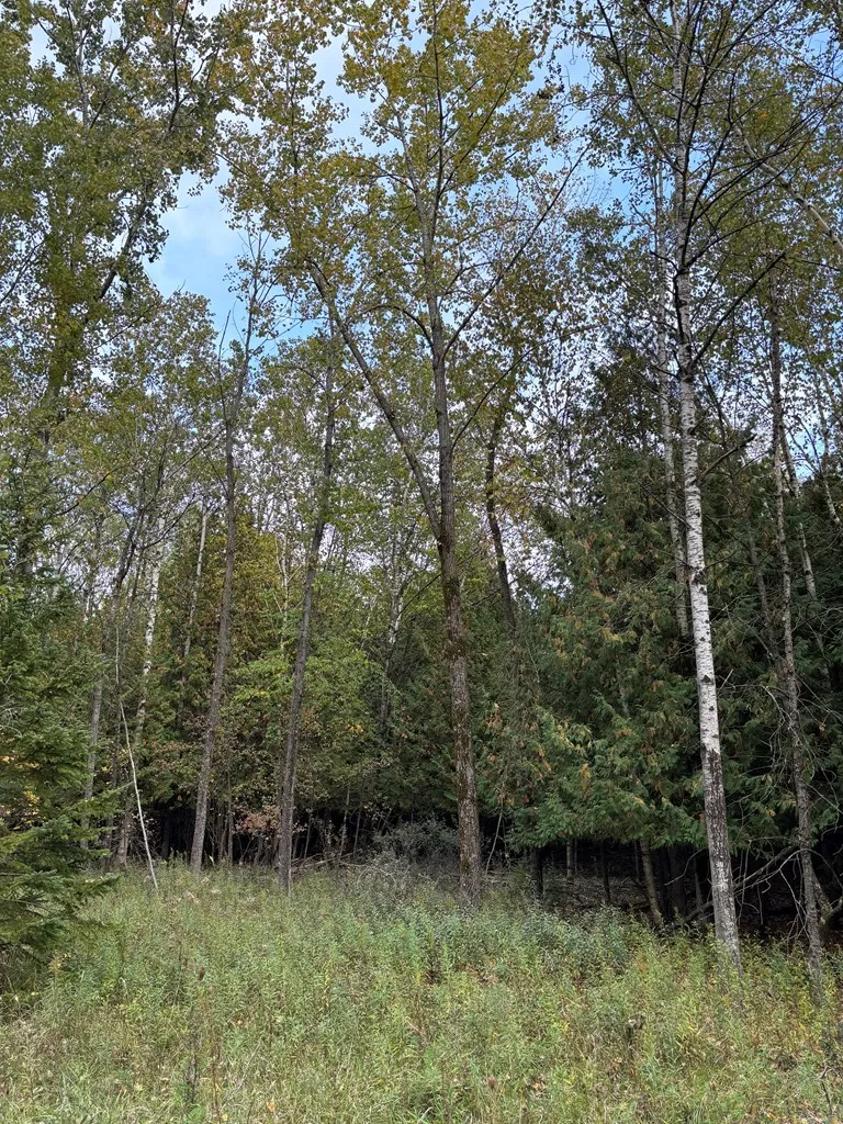 Lot 1 Sleepy Hollow Dr, Sturgeon Bay Wi 54235, ,Unimproved Land,For Sale,Sleepy Hollow Dr,141078