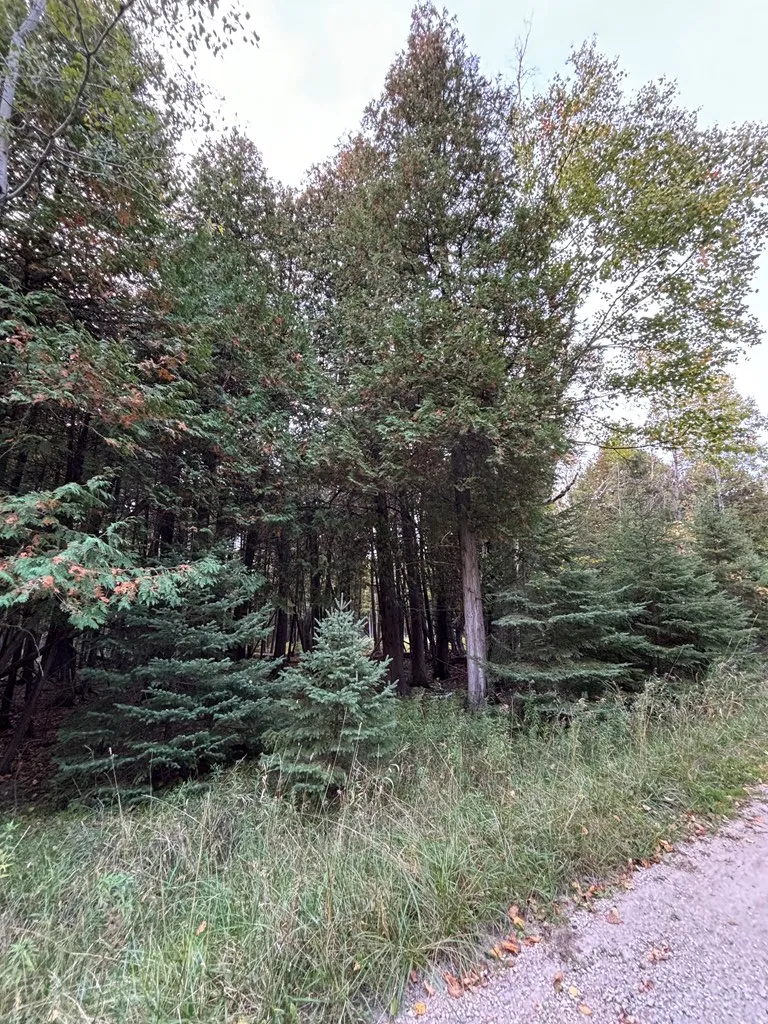 Lot 1 Sleepy Hollow Dr, Sturgeon Bay Wi 54235, ,Unimproved Land,For Sale,Sleepy Hollow Dr,141078