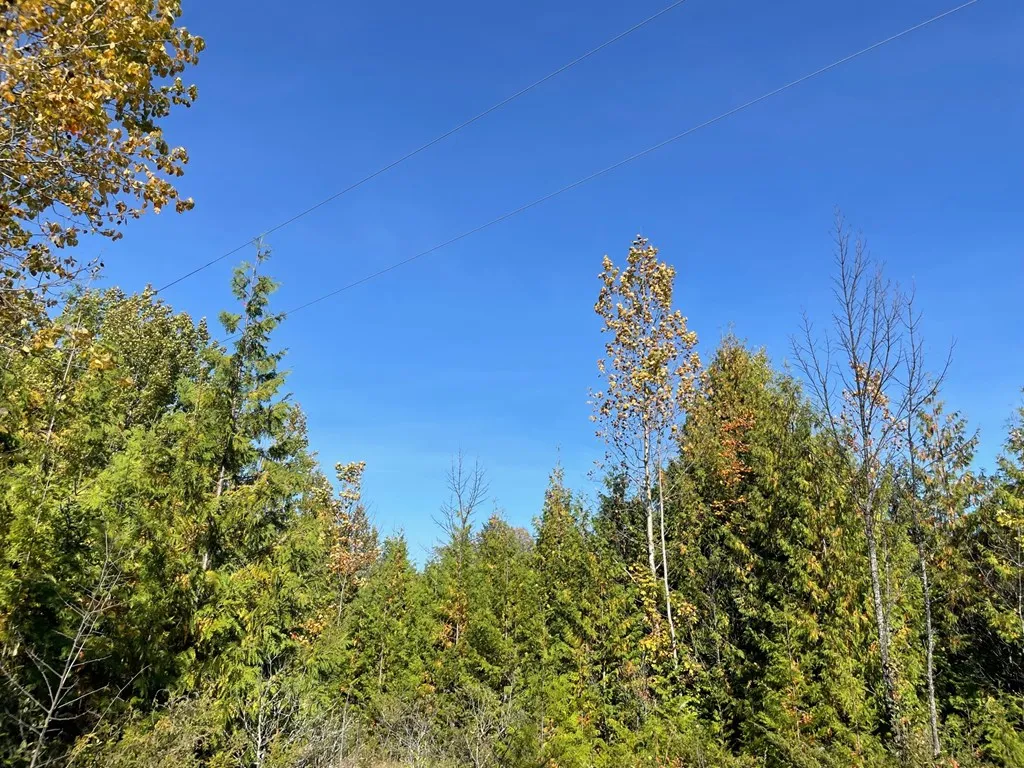 Tbd Hwy 42, Sister Bay Wi 54234, ,Unimproved Land,For Sale,Hwy 42,141074