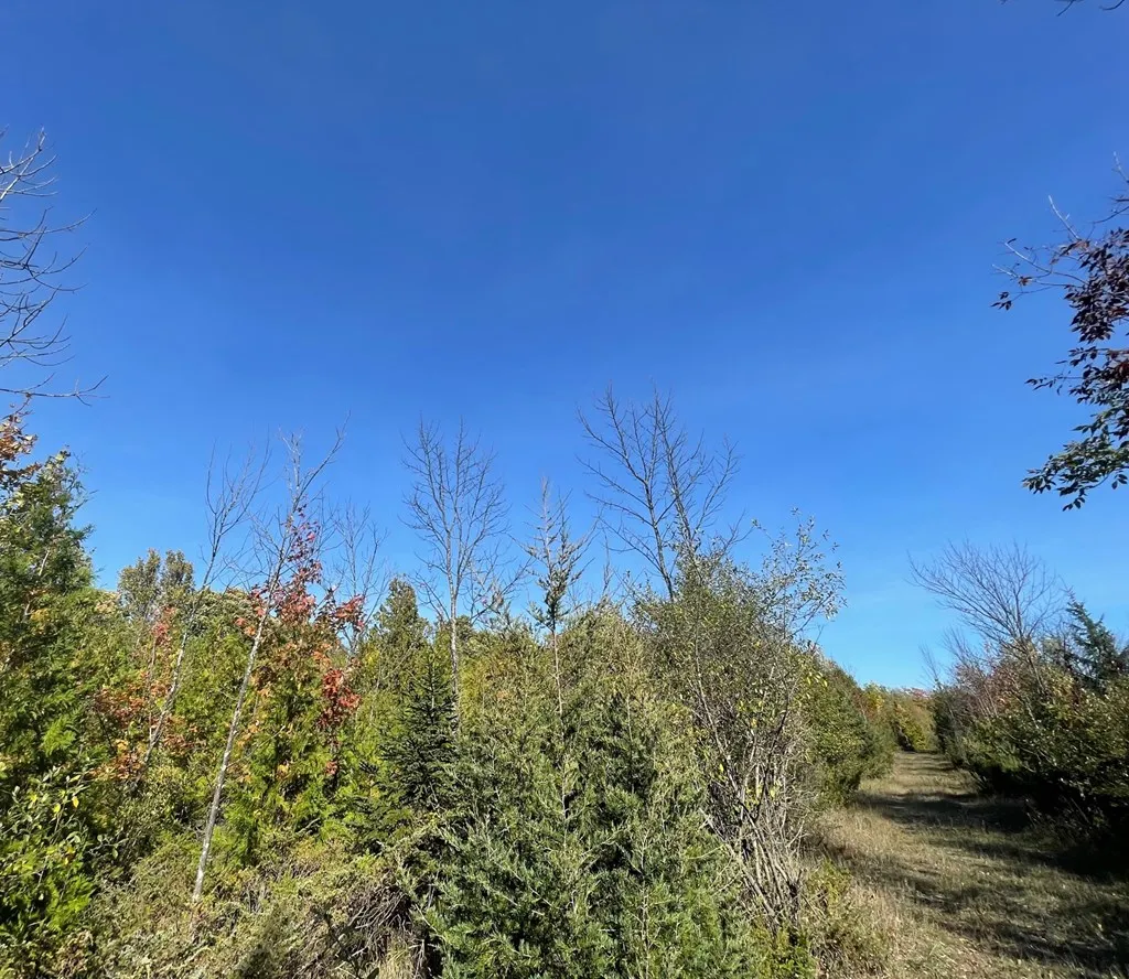 Tbd Hwy 42, Sister Bay Wi 54234, ,Unimproved Land,For Sale,Hwy 42,141074