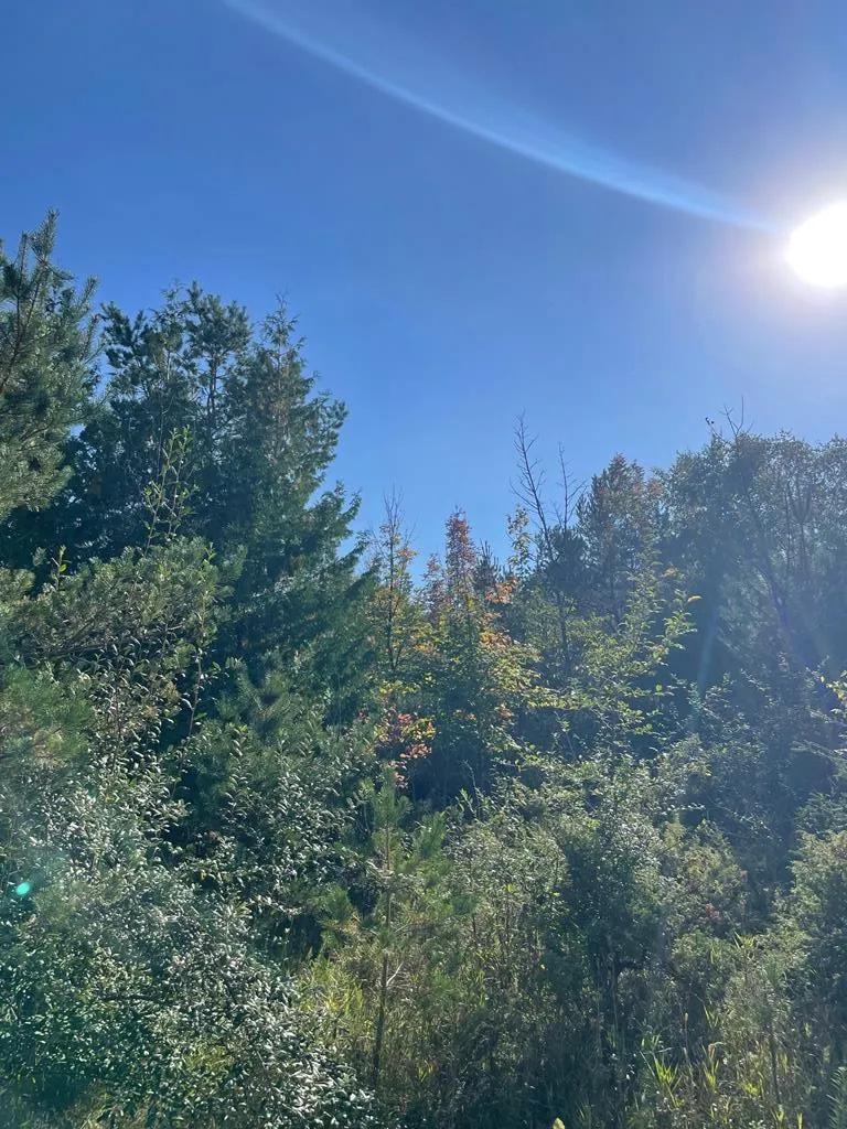 Tbd Hwy 42, Sister Bay Wi 54234, ,Unimproved Land,For Sale,Hwy 42,141074