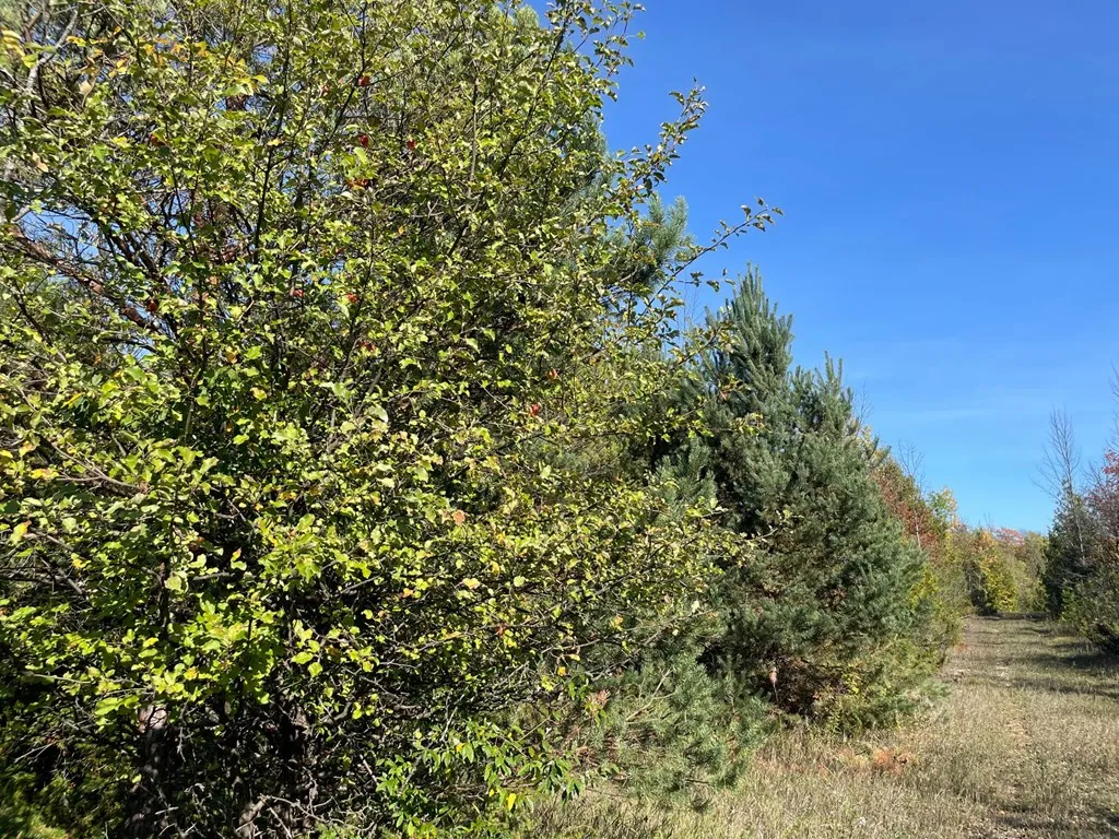 Tbd Hwy 42, Sister Bay Wi 54234, ,Unimproved Land,For Sale,Hwy 42,141074