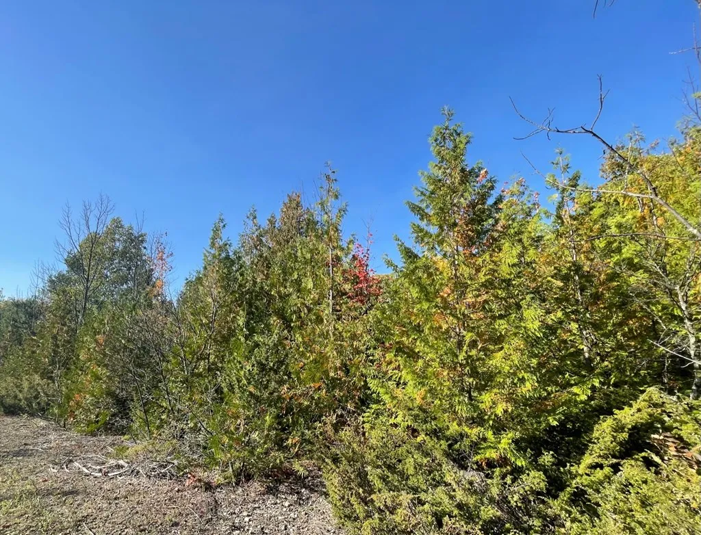 Tbd Hwy 42, Sister Bay Wi 54234, ,Unimproved Land,For Sale,Hwy 42,141074