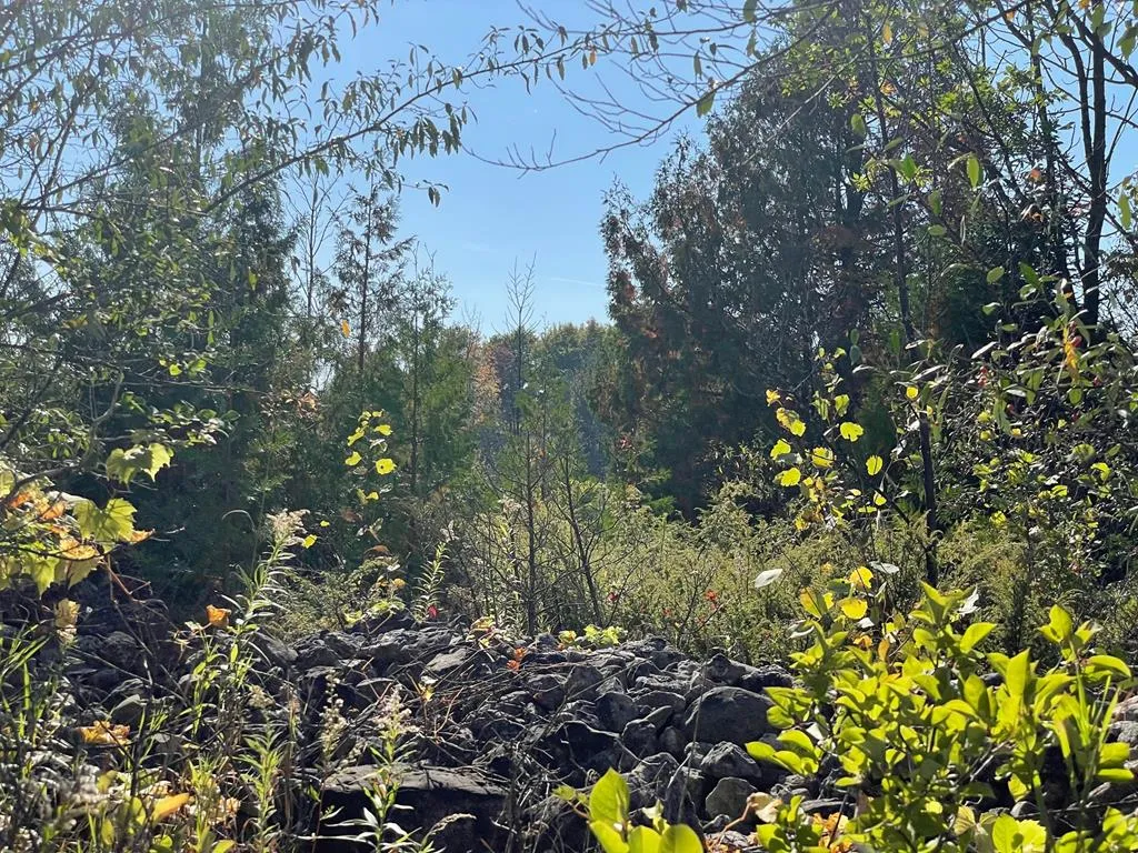 Tbd Hwy 42, Sister Bay Wi 54234, ,Unimproved Land,For Sale,Hwy 42,141074