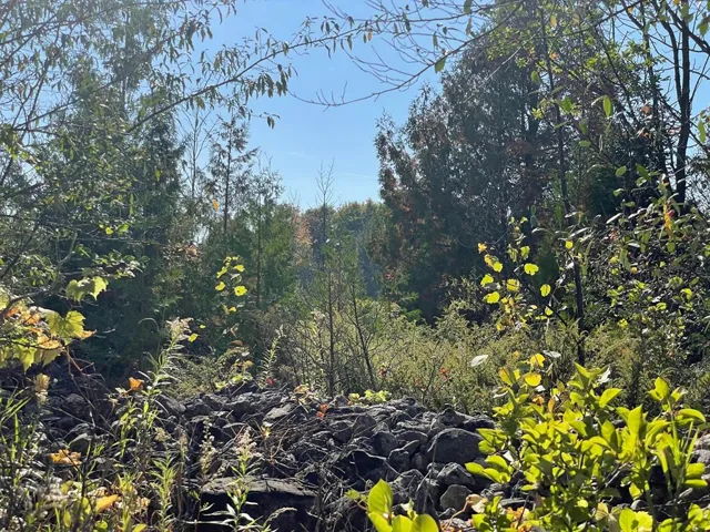 Tbd Hwy 42, Sister Bay Wi 54234, ,Unimproved Land,For Sale,Hwy 42,141074