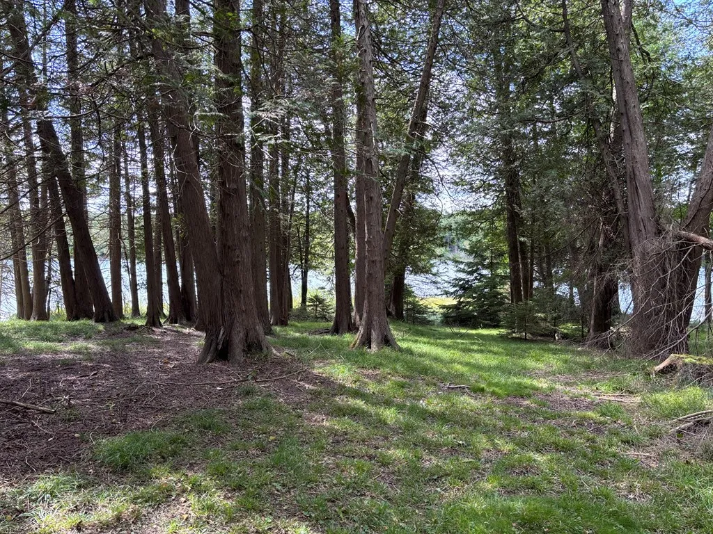 0 Sleepy Hollow Dr, Sturgeon Bay, Wisconsin 54235, ,Unimproved Land,For Sale,Sleepy Hollow Dr,144518