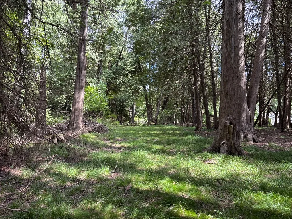 0 Sleepy Hollow Dr, Sturgeon Bay, Wisconsin 54235, ,Unimproved Land,For Sale,Sleepy Hollow Dr,144518