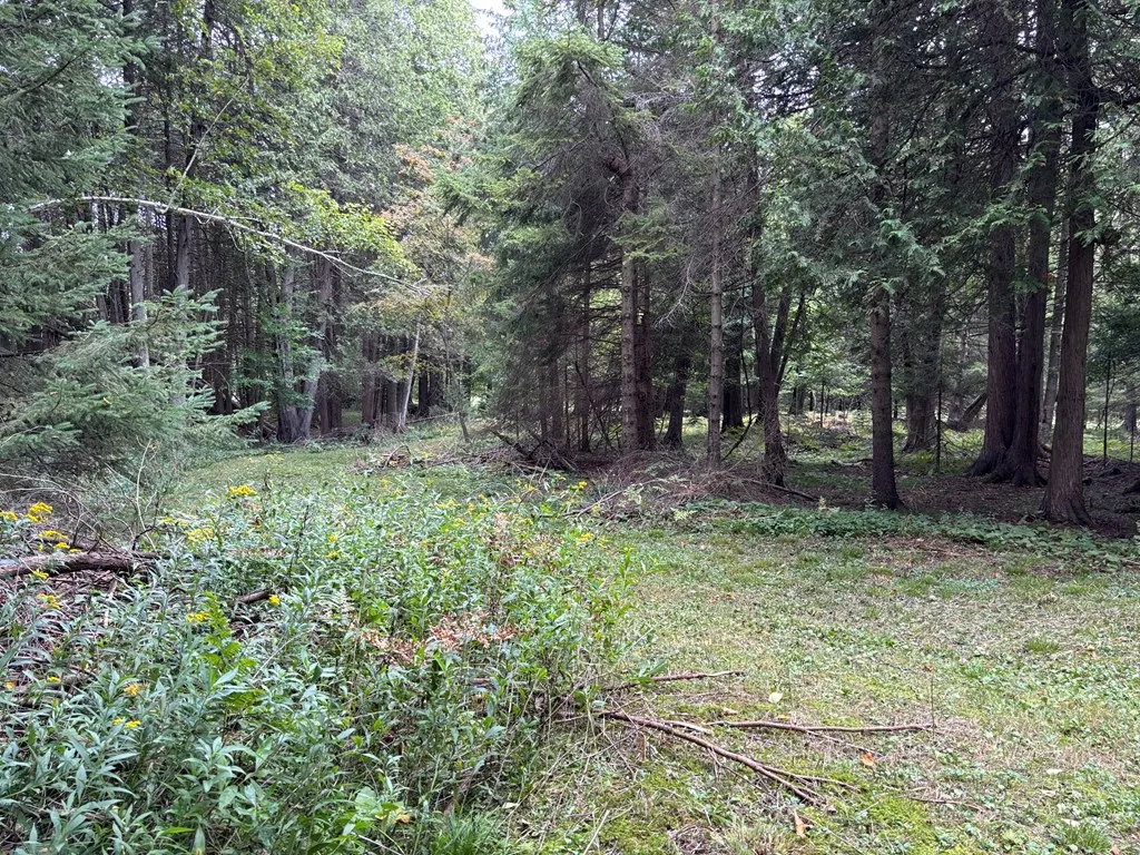 0 Sleepy Hollow Dr, Sturgeon Bay, Wisconsin 54235, ,Unimproved Land,For Sale,Sleepy Hollow Dr,144518
