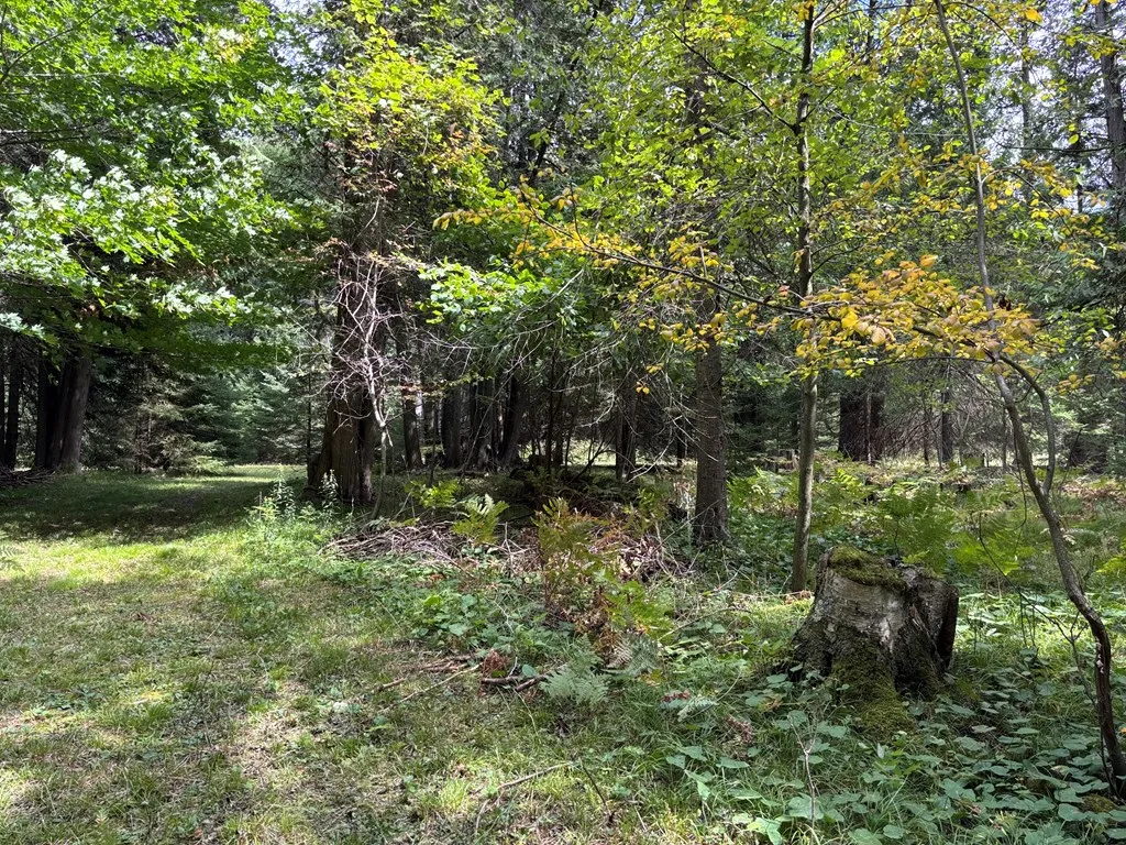 0 Sleepy Hollow Dr, Sturgeon Bay, Wisconsin 54235, ,Unimproved Land,For Sale,Sleepy Hollow Dr,144518