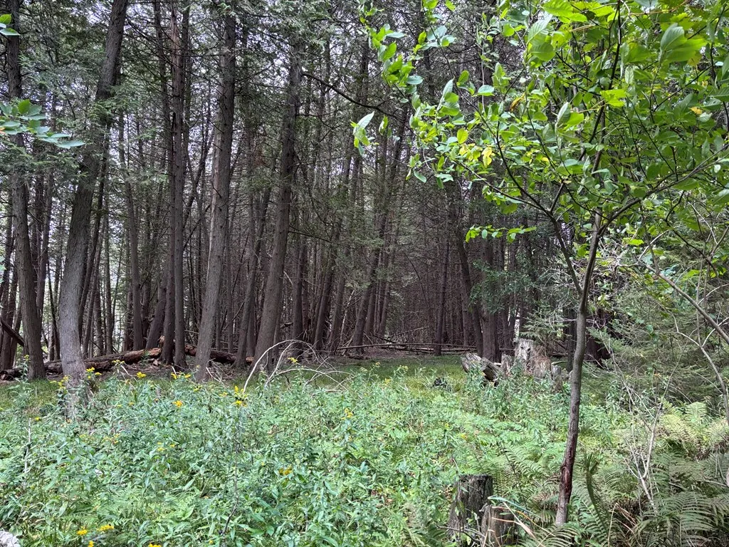 0 Sleepy Hollow Dr, Sturgeon Bay, Wisconsin 54235, ,Unimproved Land,For Sale,Sleepy Hollow Dr,144518