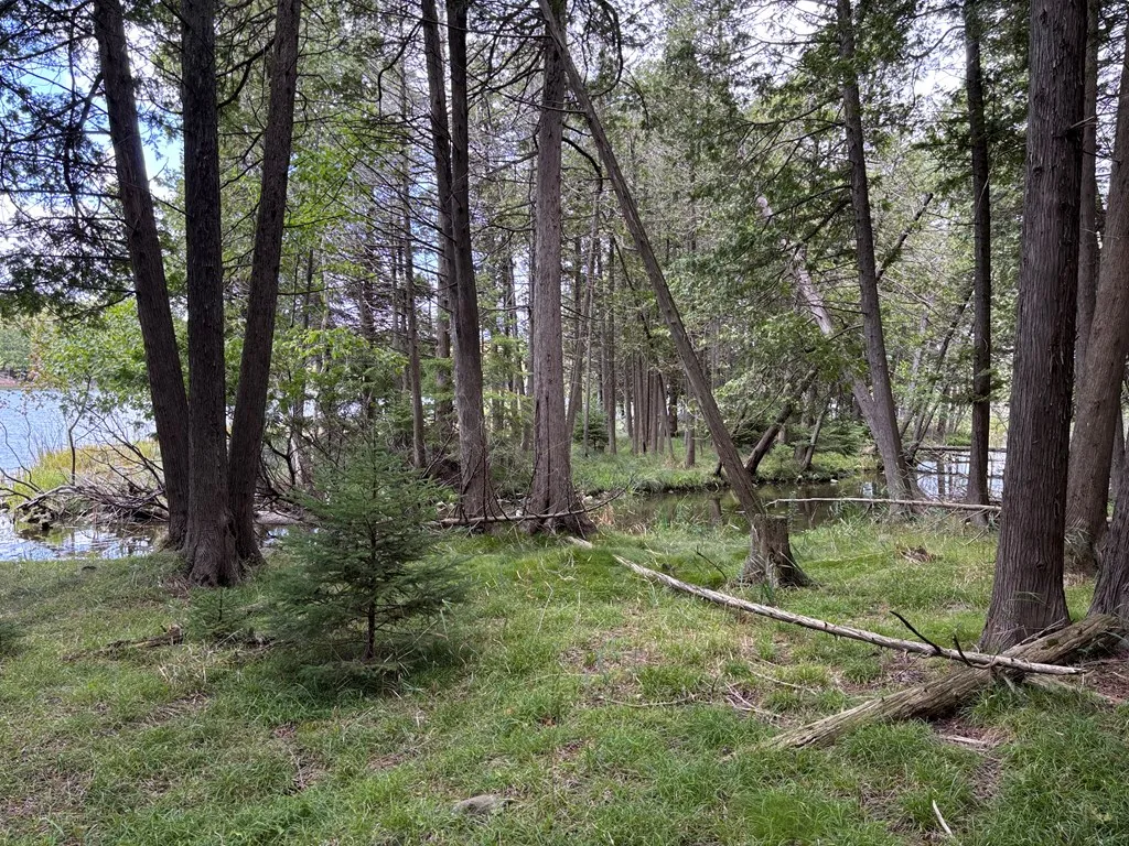0 Sleepy Hollow Dr, Sturgeon Bay, Wisconsin 54235, ,Unimproved Land,For Sale,Sleepy Hollow Dr,144518