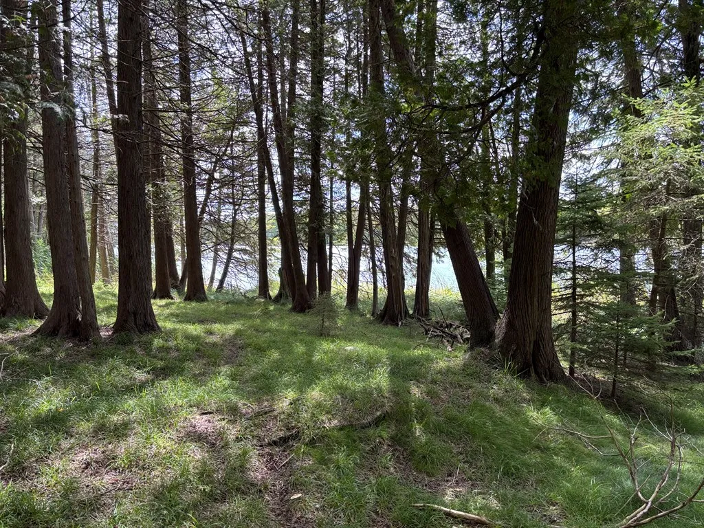 0 Sleepy Hollow Dr, Sturgeon Bay, Wisconsin 54235, ,Unimproved Land,For Sale,Sleepy Hollow Dr,144518