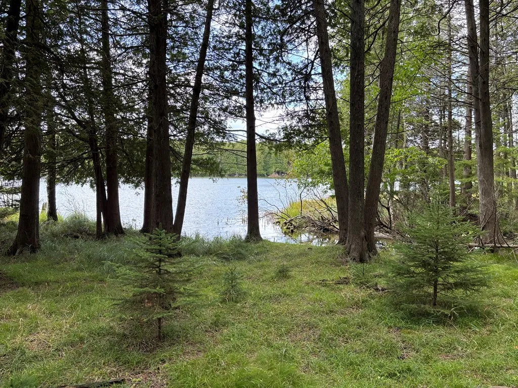0 Sleepy Hollow Dr, Sturgeon Bay, Wisconsin 54235, ,Unimproved Land,For Sale,Sleepy Hollow Dr,144518