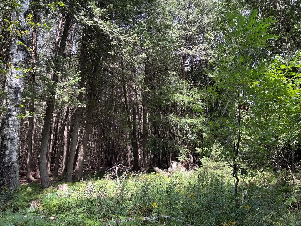 0 Sleepy Hollow Dr, Sturgeon Bay, Wisconsin 54235, ,Unimproved Land,For Sale,Sleepy Hollow Dr,144518