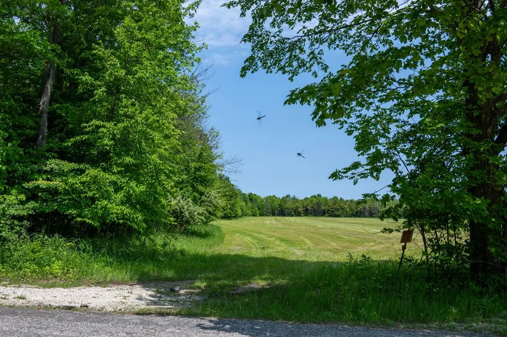 Tbd O'brien Rd, Baileys Harbor Wi 54202, ,Unimproved Land,For Sale,O'Brien Rd,143759