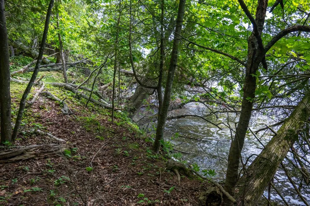 Tbd O'brien Rd, Baileys Harbor Wi 54202, ,Unimproved Land,For Sale,O'Brien Rd,143759