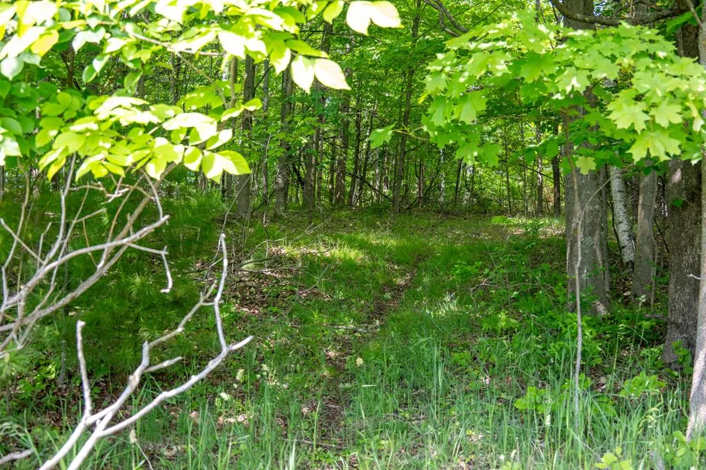 Tbd O'brien Rd, Baileys Harbor Wi 54202, ,Unimproved Land,For Sale,O'Brien Rd,143759