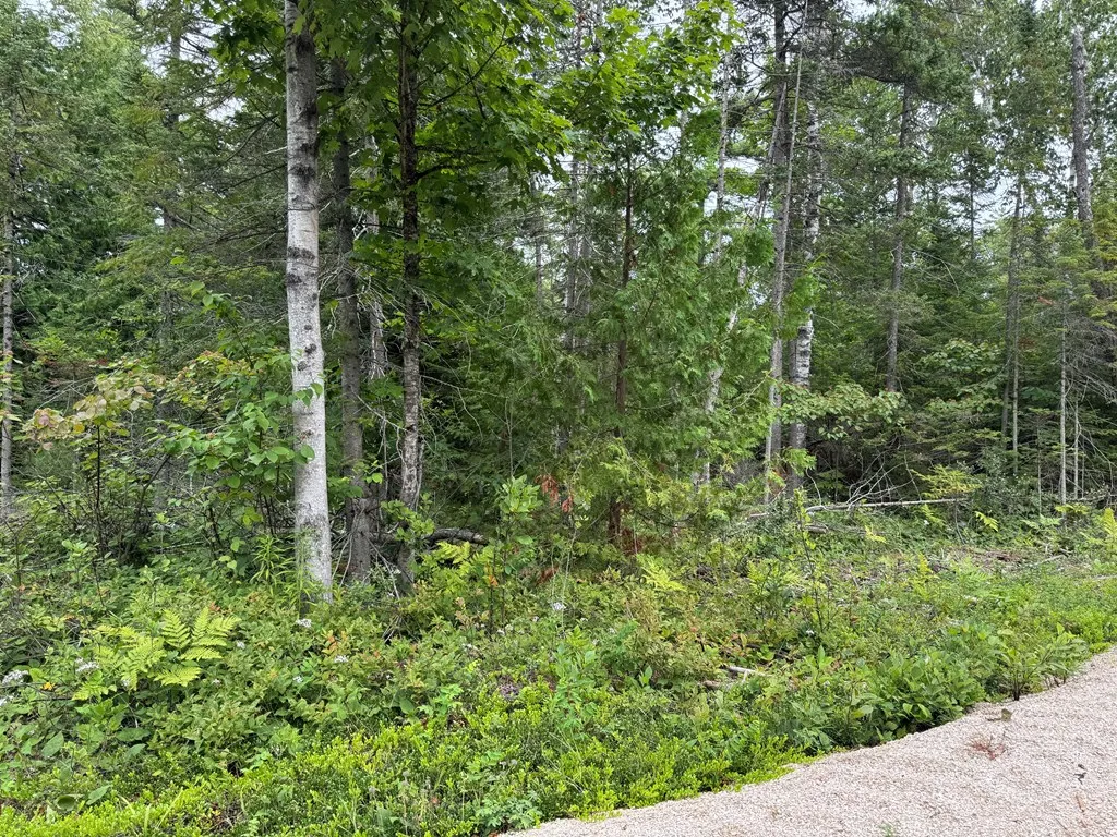 Europe Bay Rd, Ellison Bay, Wisconsin 54210, ,Unimproved Land,For Sale,Europe Bay Rd,144451