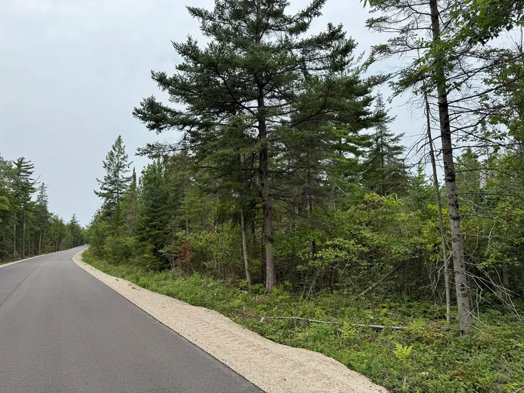 Europe Bay Rd, Ellison Bay, Wisconsin 54210, ,Unimproved Land,For Sale,Europe Bay Rd,144451