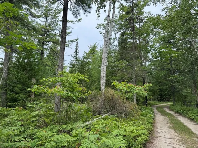 Europe Bay Rd, Ellison Bay, Wisconsin 54210, ,Unimproved Land,For Sale,Europe Bay Rd,144451