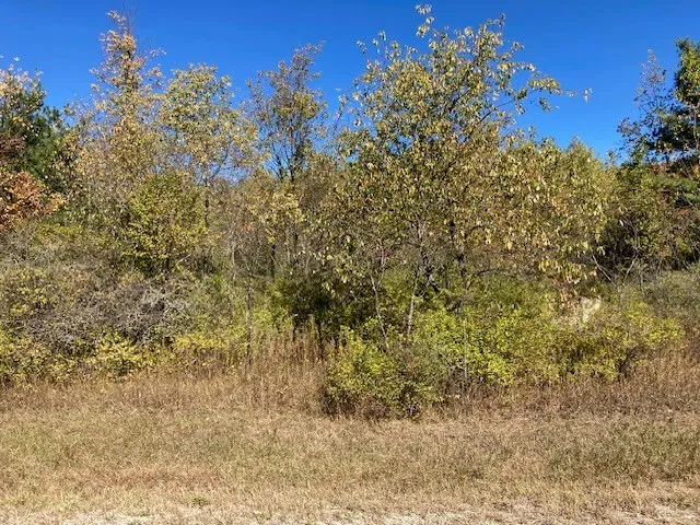 Cinnamon Ct, Sturgeon Bay Wi 54235, ,Unimproved Land,For Sale,Cinnamon Ct,143317