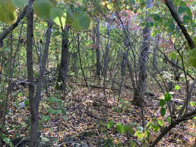 Cinnamon Ct, Sturgeon Bay Wi 54235, ,Unimproved Land,For Sale,Cinnamon Ct,143317