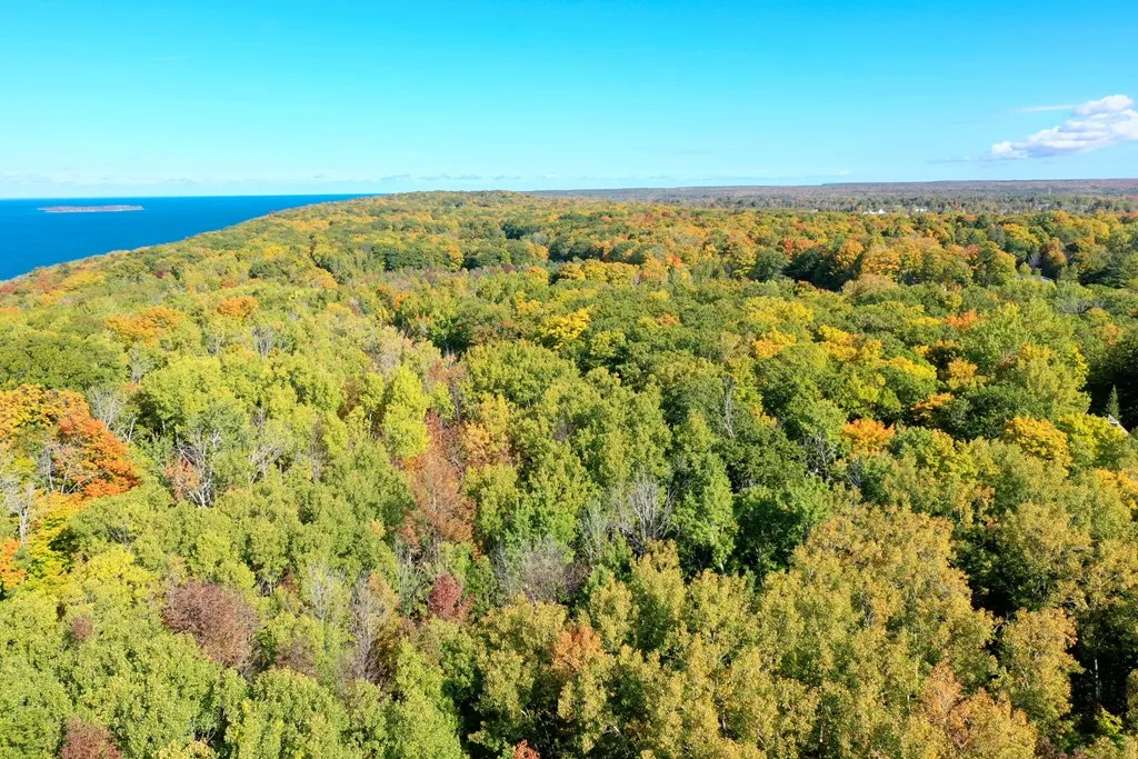 Gibraltar Bluff Rd, Fish Creek Wi 54212, ,Unimproved Land,For Sale,Gibraltar Bluff Rd,143866