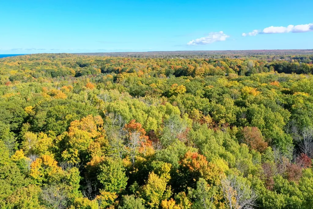 Gibraltar Bluff Rd, Fish Creek Wi 54212, ,Unimproved Land,For Sale,Gibraltar Bluff Rd,143866