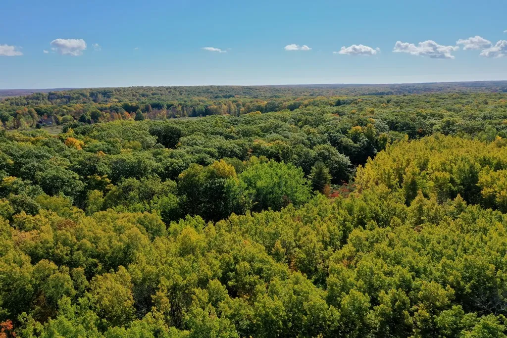 Gibraltar Bluff Rd, Fish Creek Wi 54212, ,Unimproved Land,For Sale,Gibraltar Bluff Rd,143866
