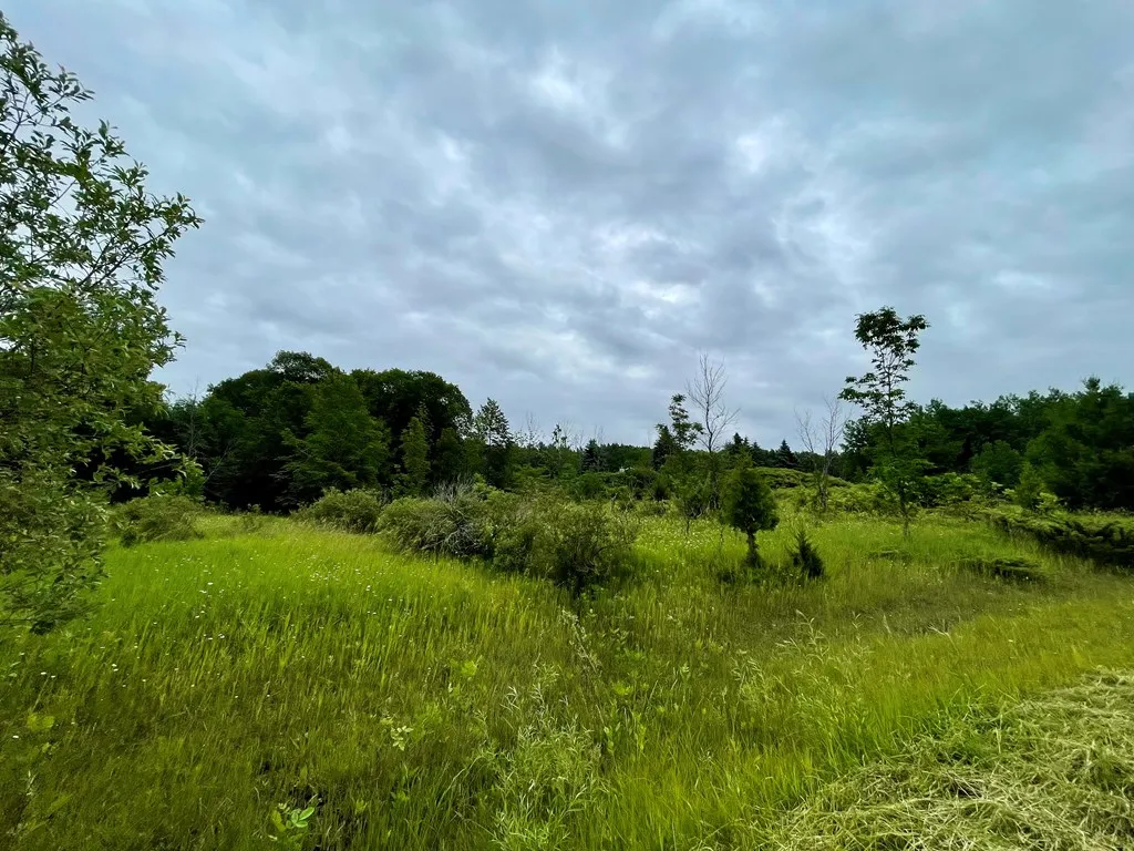 Park Side Rd, Sturgeon Bay Wi 54235, ,Unimproved Land,For Sale,Park Side Rd,141808