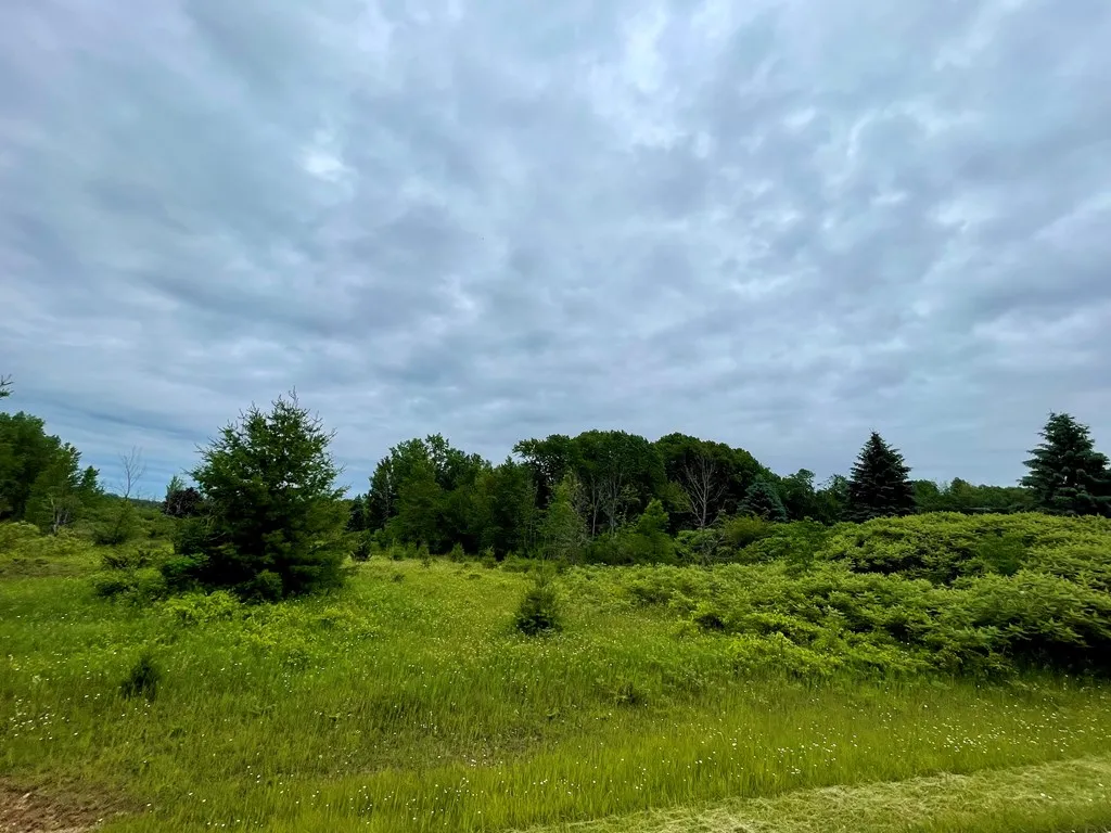 Park Side Rd, Sturgeon Bay Wi 54235, ,Unimproved Land,For Sale,Park Side Rd,141808