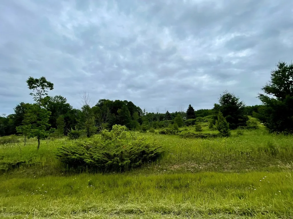 Park Side Rd, Sturgeon Bay Wi 54235, ,Unimproved Land,For Sale,Park Side Rd,141808