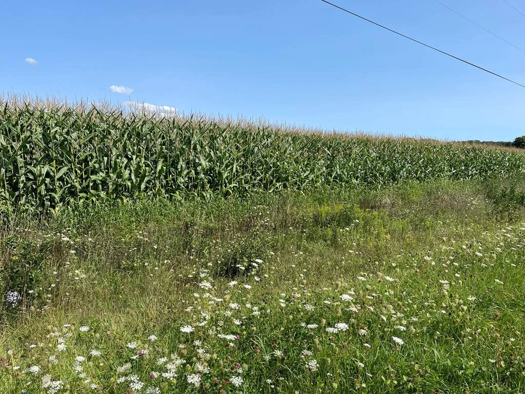 41.30 Ac Sunnyslope Rd, Egg Harbor Wi 54209, ,Unimproved Land,For Sale,Sunnyslope Rd,140870