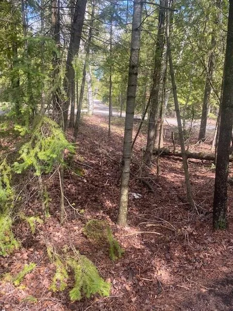 1251 Waters End Rd, Sister Bay Wi 54234, 3 Bedrooms Bedrooms, ,2 BathroomsBathrooms,Inland-Residential,For Sale,Waters End Rd,141595