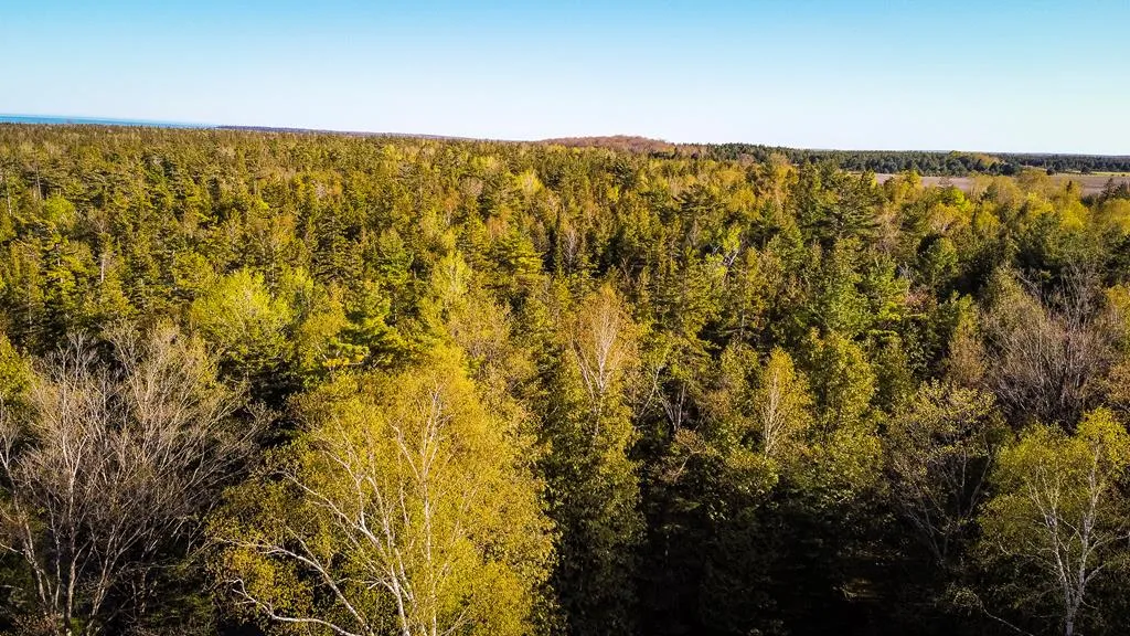 1251 Waters End Rd, Sister Bay Wi 54234, 3 Bedrooms Bedrooms, ,2 BathroomsBathrooms,Inland-Residential,For Sale,Waters End Rd,141595