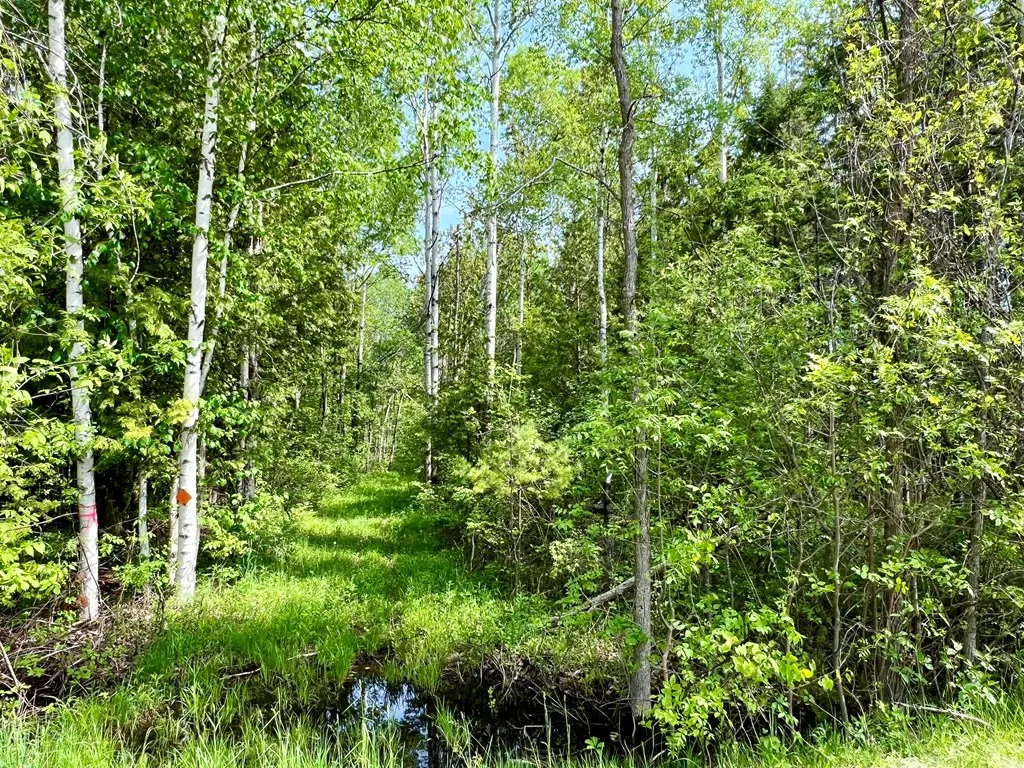 Tbd Sawyer Dr, Sturgeon Bay Wi 54235, ,Unimproved Land,For Sale,Sawyer Dr,141687