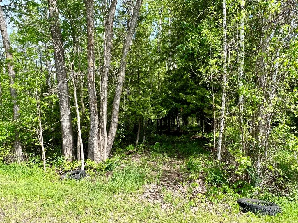 Tbd Sawyer Dr, Sturgeon Bay Wi 54235, ,Unimproved Land,For Sale,Sawyer Dr,141687