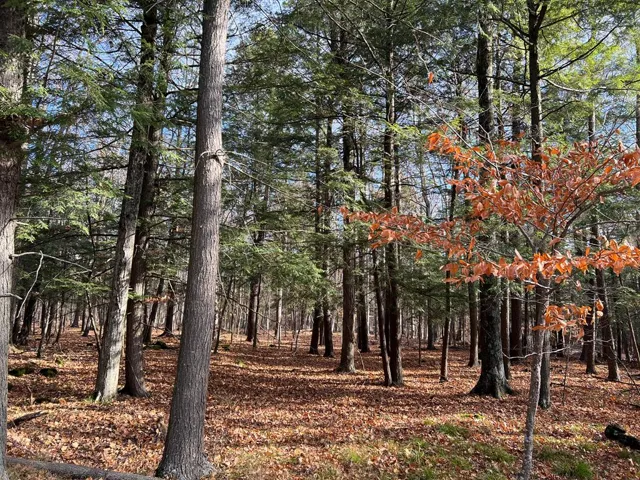 Tbd Cliff Top Rd, Sturgeon Bay Wi 54235, ,Unimproved Land,For Sale,Cliff Top Rd,141194