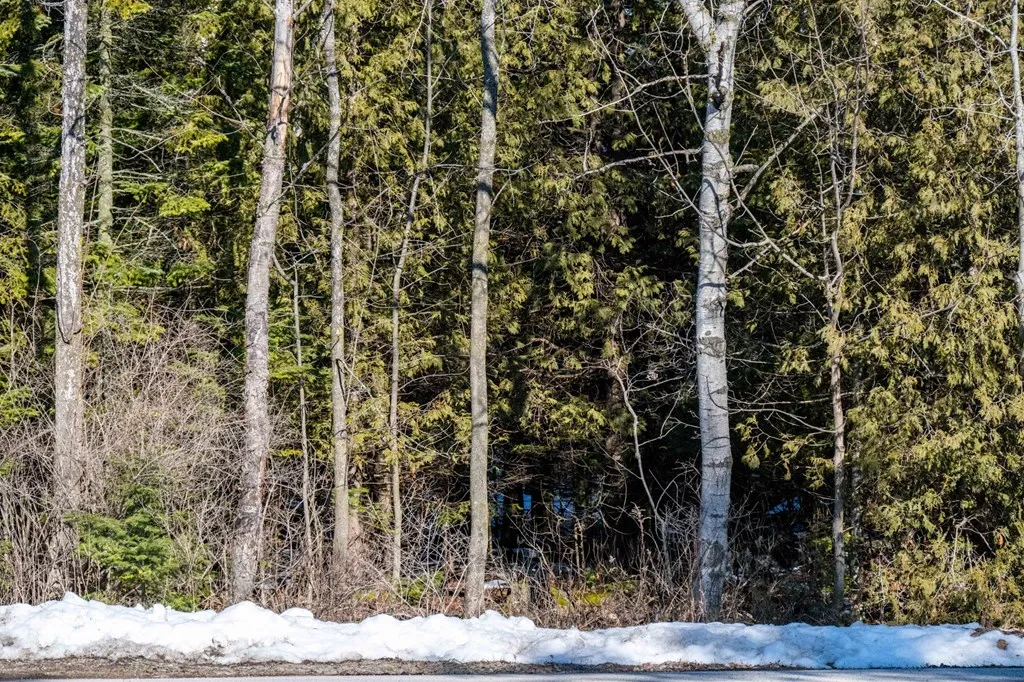 0 Point Circle Dr, Egg Harbor Wi 54209, ,Unimproved Land,For Sale,Point Circle Dr,141339