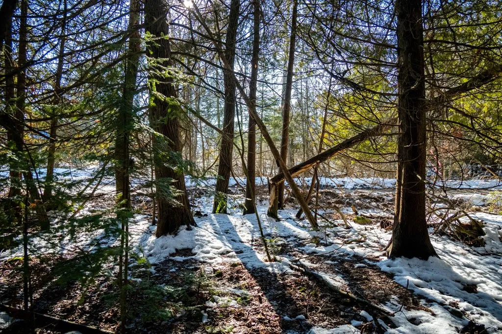0 Point Circle Dr, Egg Harbor Wi 54209, ,Unimproved Land,For Sale,Point Circle Dr,141339