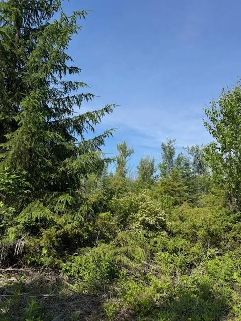 Tbd Townline Rd, Ephraim, Wisconsin 54211, ,Unimproved Land,For Sale,Townline Rd,144230