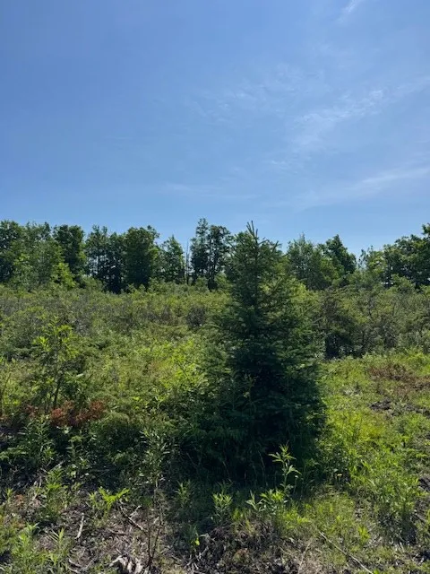 Tbd Townline Rd, Ephraim, Wisconsin 54211, ,Unimproved Land,For Sale,Townline Rd,144230