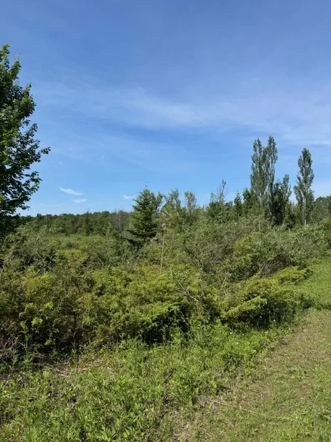 Tbd Townline Rd, Ephraim, Wisconsin 54211, ,Unimproved Land,For Sale,Townline Rd,144230