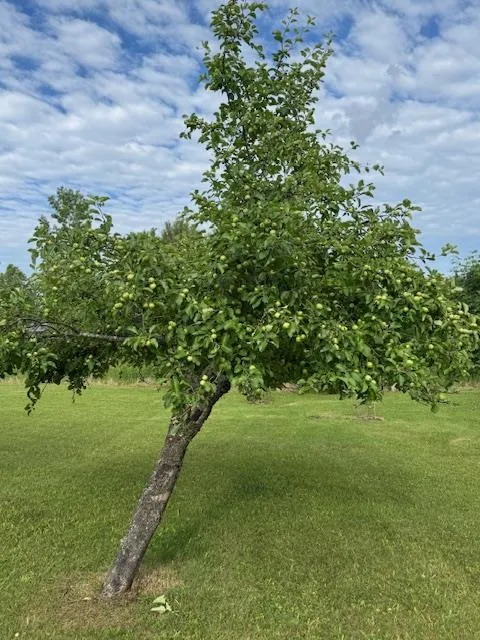 1895 County Hwy Dk, Sturgeon Bay, Wisconsin 54235, 3 Bedrooms Bedrooms, ,3 BathroomsBathrooms,Inland-Residential,For Sale,County Hwy DK,144209