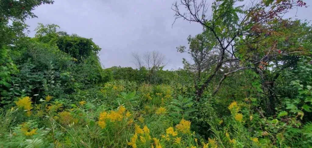 Lot 10 S Geneva Ave, Sturgeon Bay Wi 54235, 3 Bedrooms Bedrooms, ,2 BathroomsBathrooms,Inland-Residential,For Sale,S Geneva Ave,141584